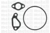CIFAM 824-319 Water Pump